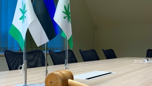 Volikogu pilt