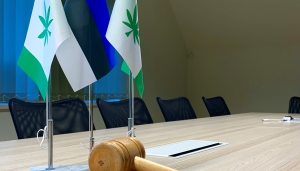 Volikogu pilt